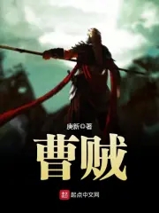 曹贼女婿